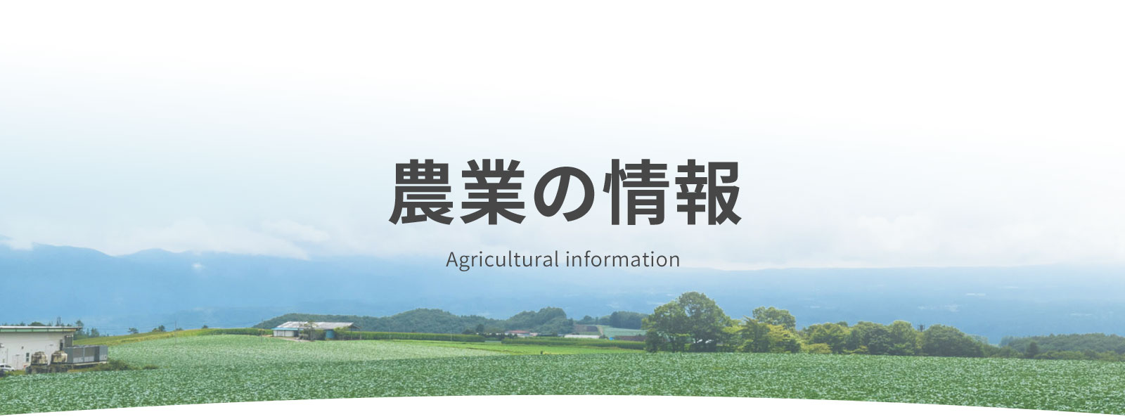 農業の情報